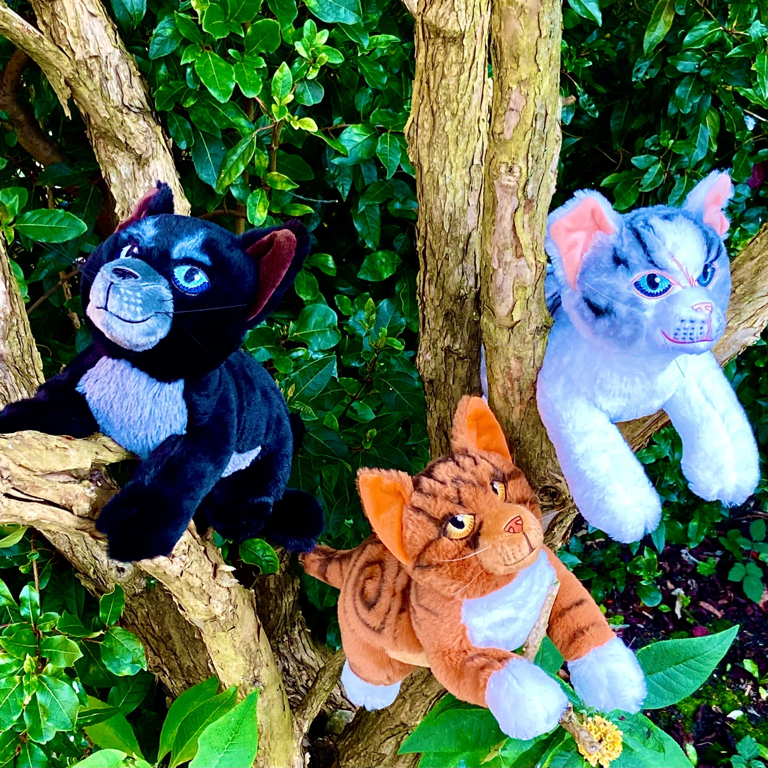 Bundle of 3 - Cinderpelt Ivypool Leafpool Large Plush - Image 3