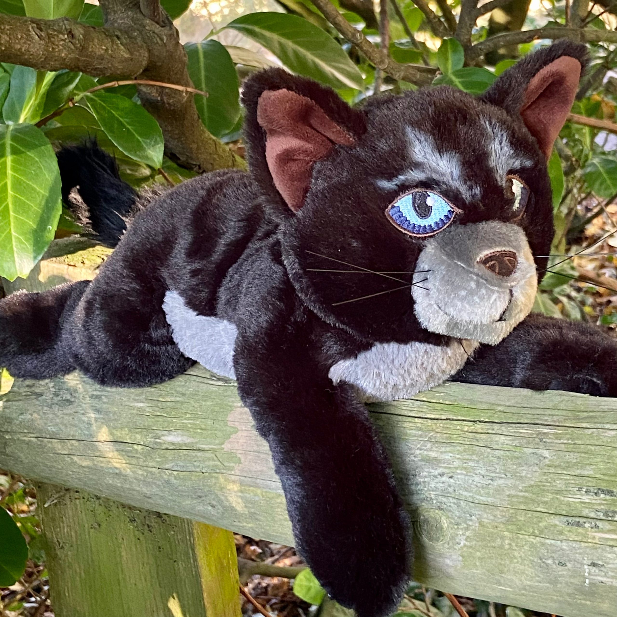 Cinderpelt Large Plush Cat - Image 5