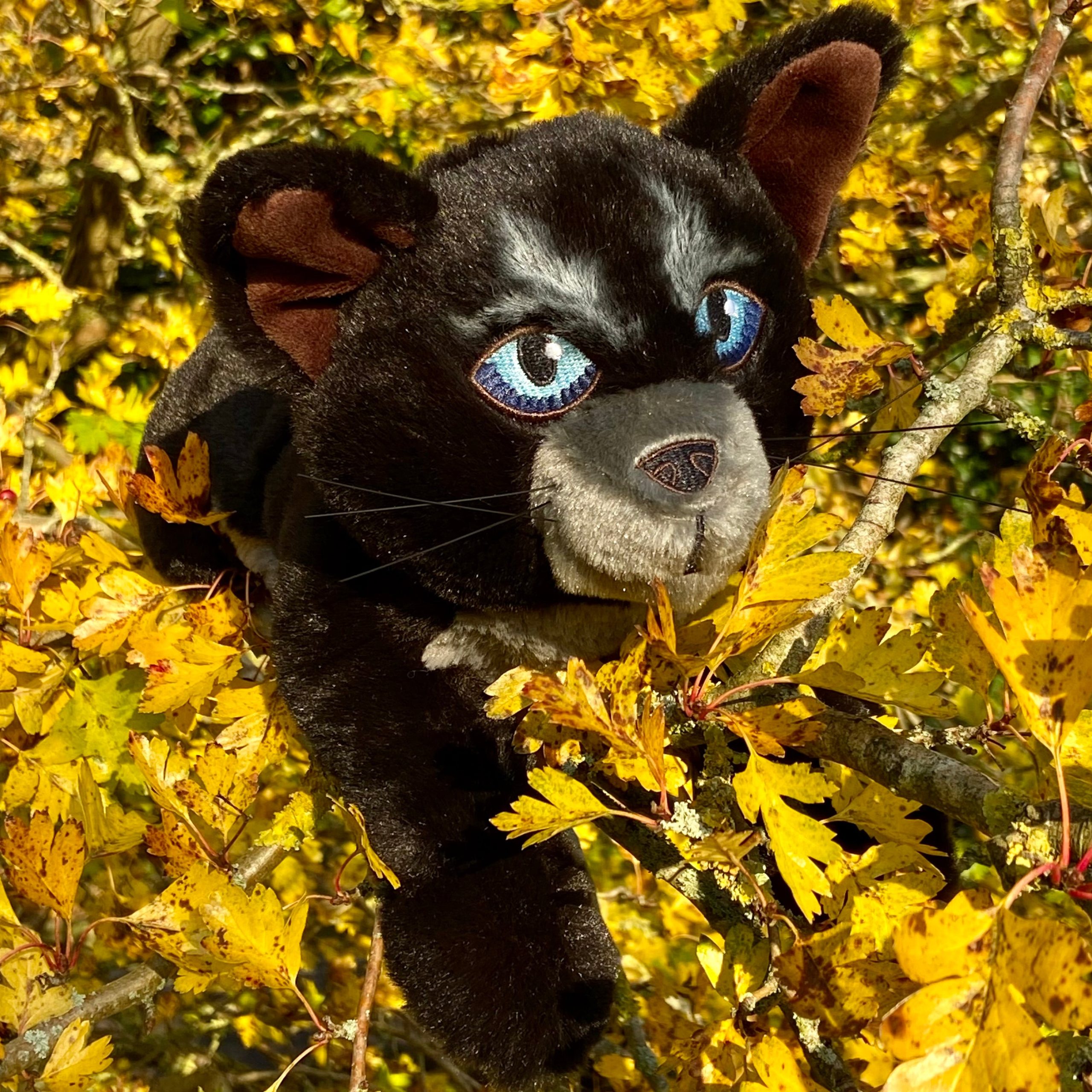 Cinderpelt Large Plush Cat - Image 6