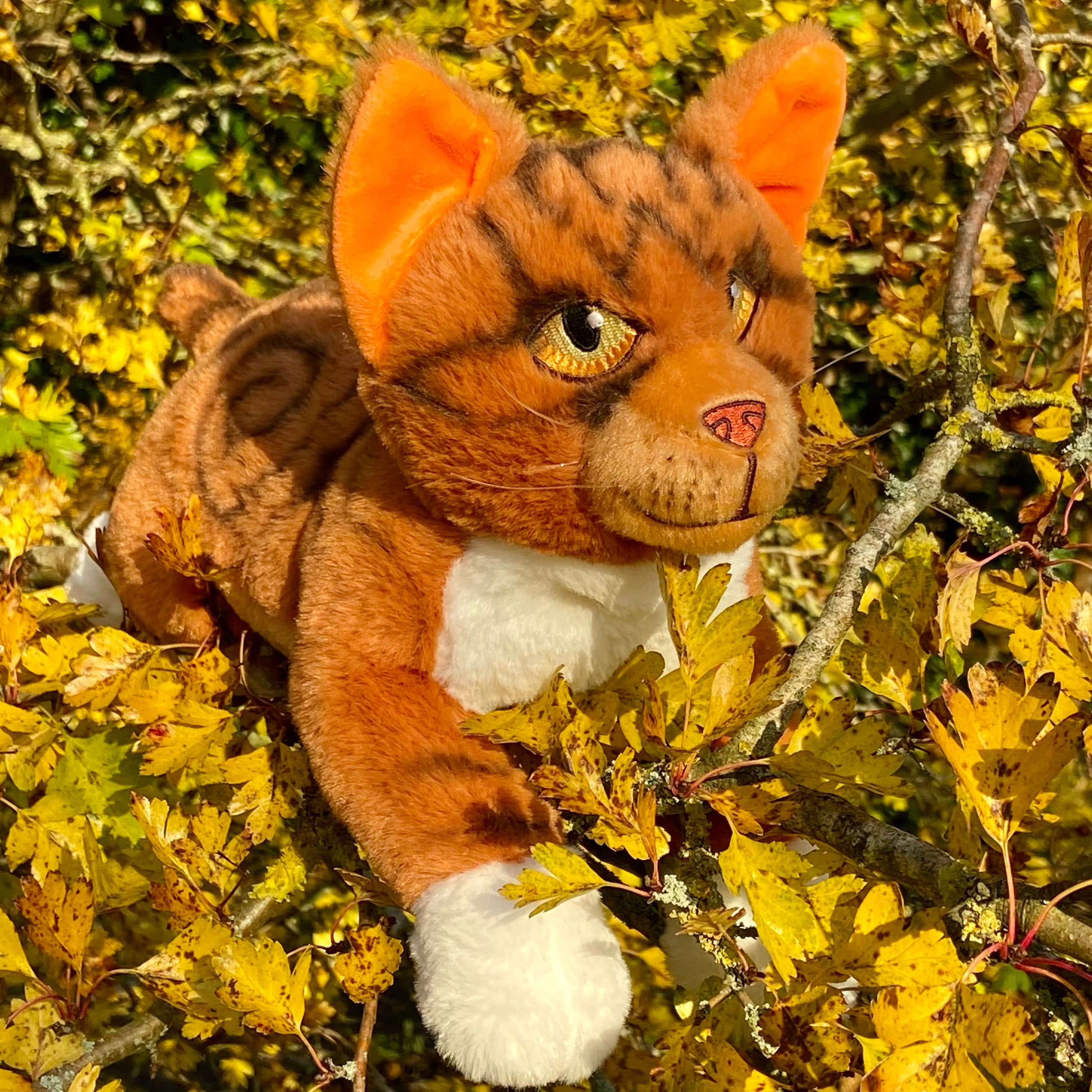 Leafpool Large Plush Cat - Image 6