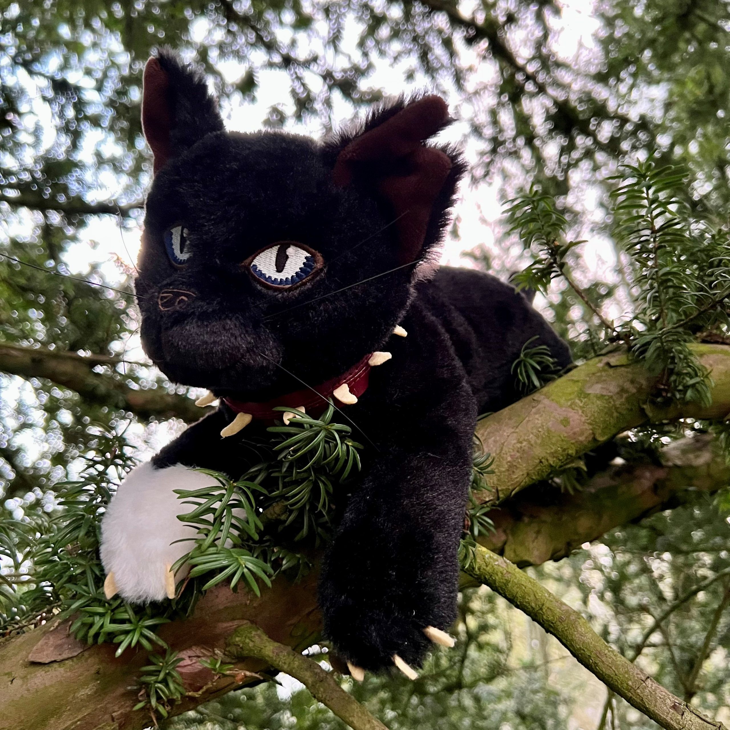 Scourge Large Plush Cat - Image 4