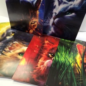 Warrior Cats Series 1 Card Set