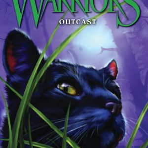 Warriors Power Of Three Outcast Book